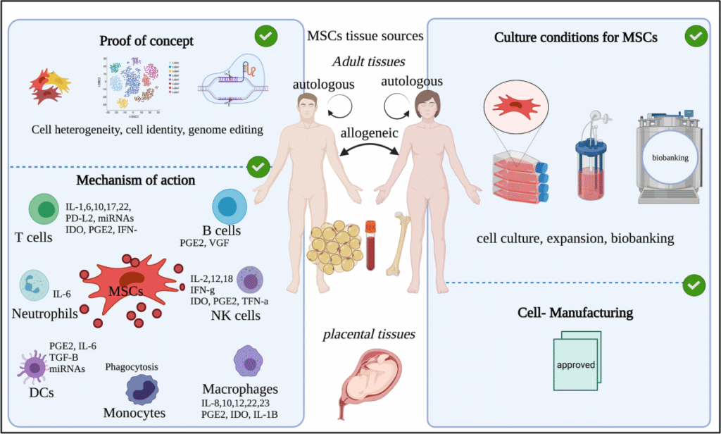 Key Considerations Before Pricing Stem Cell Therapy