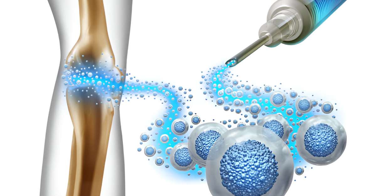 What Is Bone Marrow Transplant?