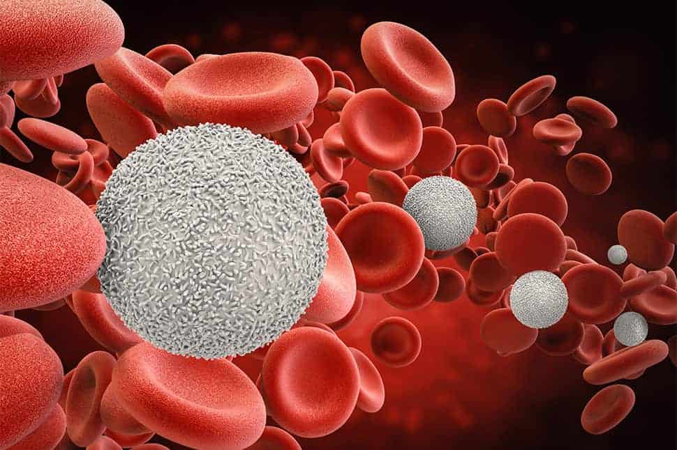 Which Type of Blood Cancer Is Most Dangerous?