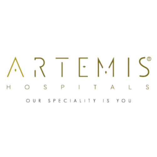 Artemis removebg preview